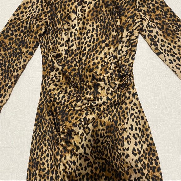 NEW LEOPARD RUCHED PRINT DRESS EXPRESS - Picture 5 of 7